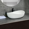 Counter Top Basins