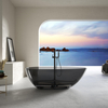 Transparent Bathtubs